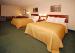 Spacious Suite